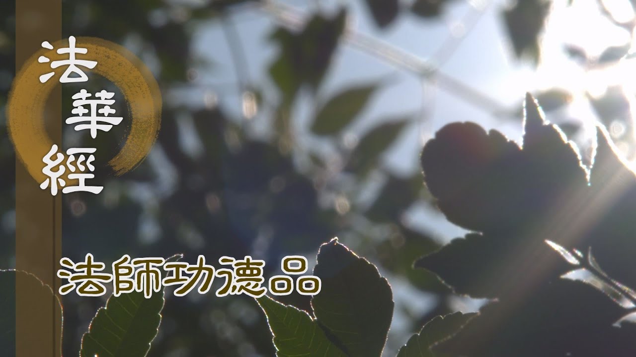 【靜思妙蓮華】法華經 法師功德品 - 頓昧前因 是為生苦 - 第1690集 20240604