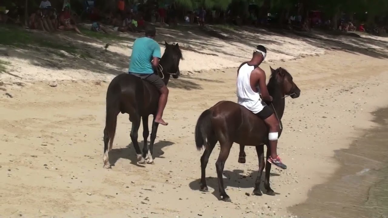 2022 16 avril course de chevaux avera