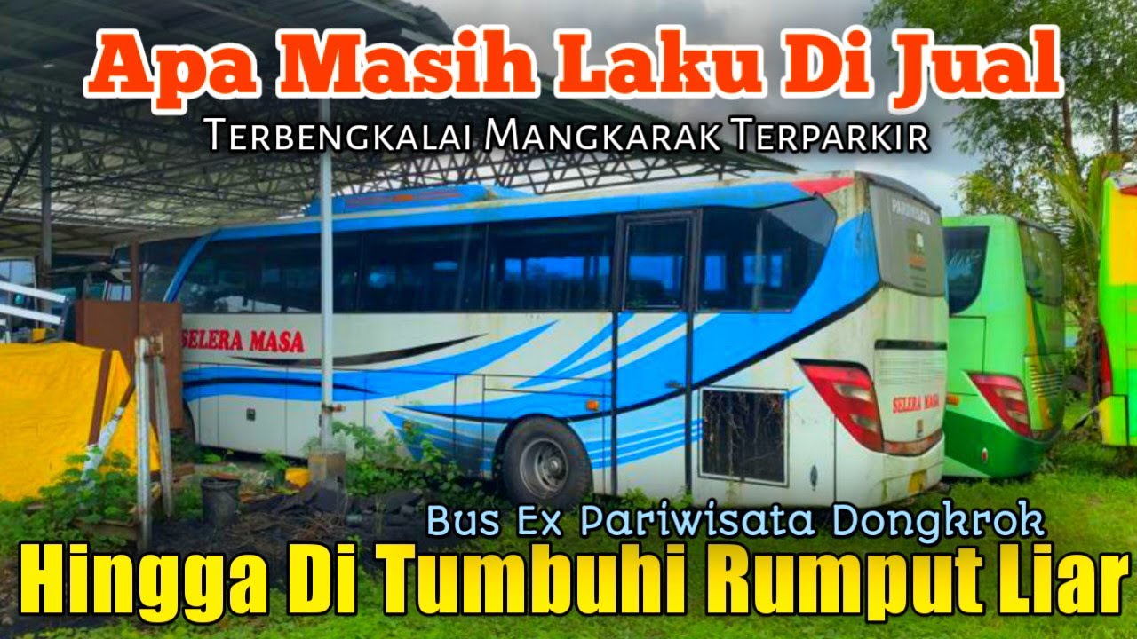 HAMPIR DI TUMBUHI RUMPUT LIAR ( Bus Pariwisata Masih Layak Jalan Dalam Garasi )