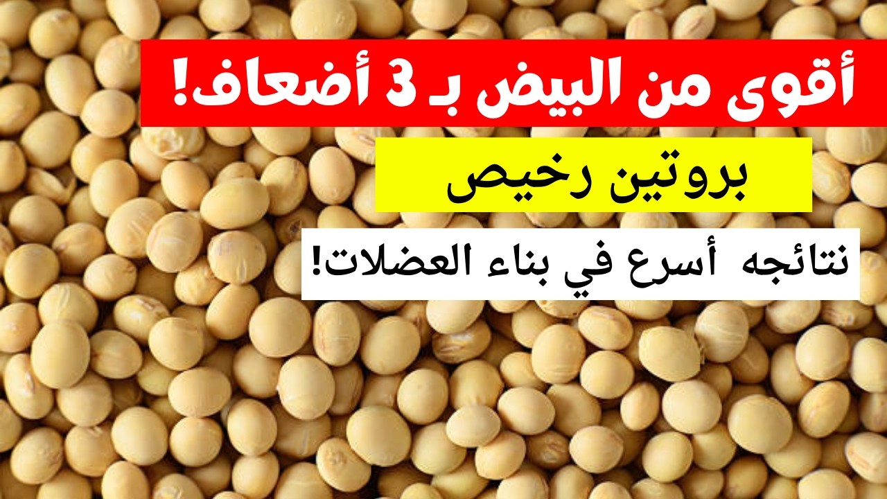 أقوى من البيض بـ 3 أضعاف! بروتين رخيص في كل بيت يحارب الشيخوخة.