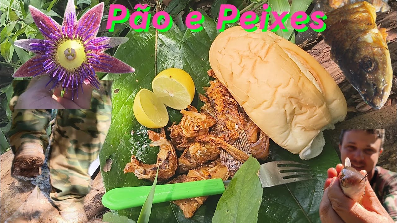 PAO E PEIXES  #PIAU #traira #PEIXE #FISH #PESCA #RIO #NATUREZA#floresilvestre #bushcraft #river #sun