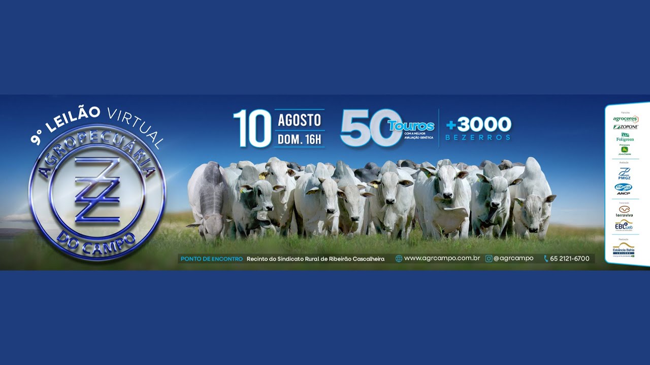 9° LEILÃO VIRTUAL AGROPECUÁRIA DO CAMPO | 10/08/2025 – 16H