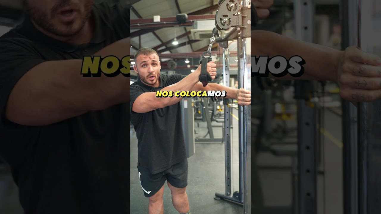 💪 C&Oacute;MO DESARROLLAR ESPALDA AL COMPLETO