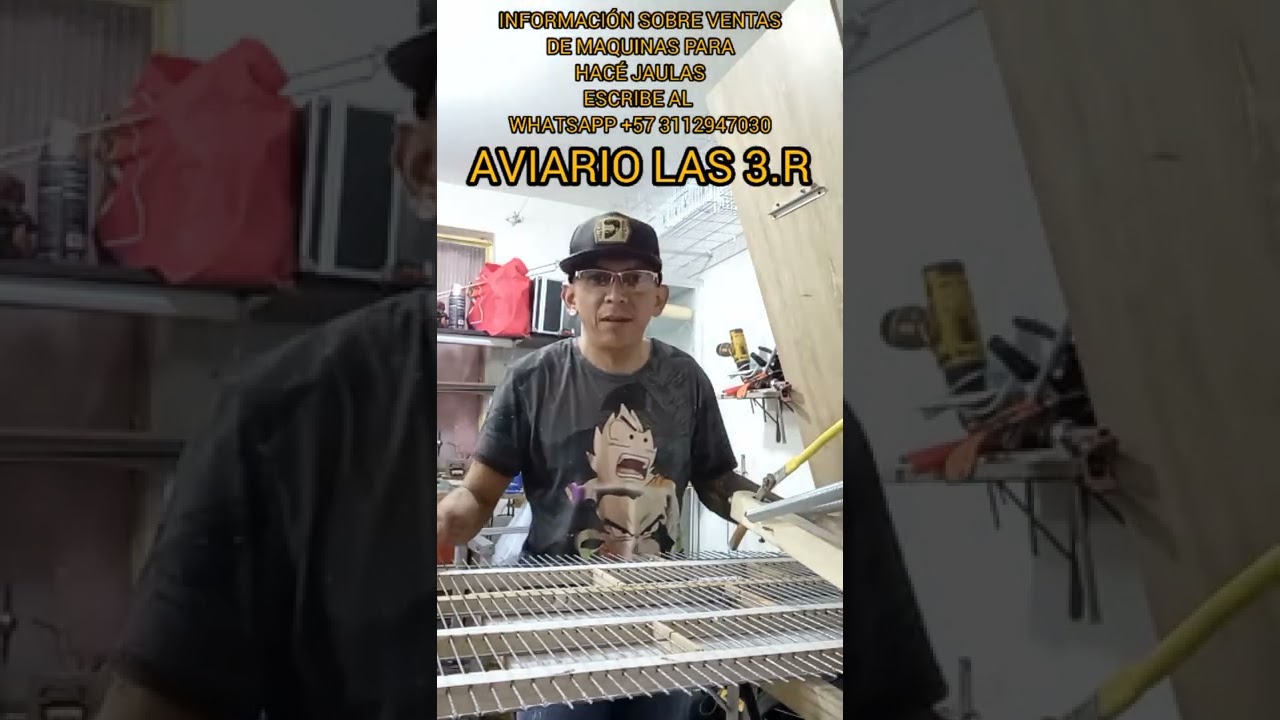 🐓JAULAS PARA GALLOS 🐓AL ESTILÓ DE  ꧁AVIARO .LAS..3.R꧂