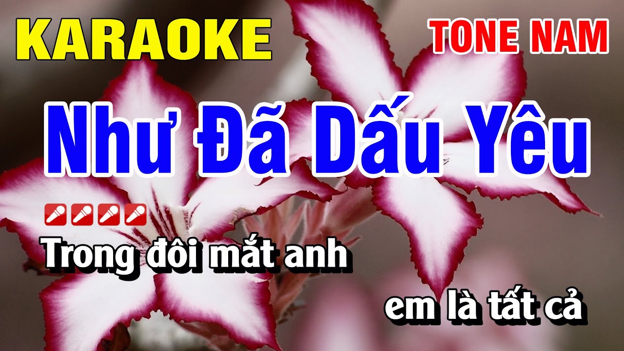 Karaoke Như Đã Dấu Yêu Tone Nam Nhạc Sống | Nguyễn Linh