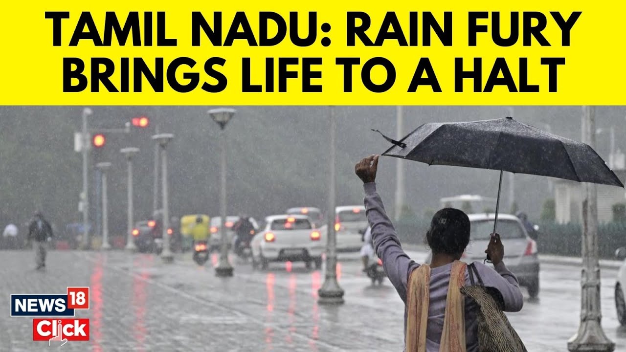 Tamil Nadu Weather Update | Chennai On High Alert As IMD Predicts Rainfall | Chennai Rains | N18V