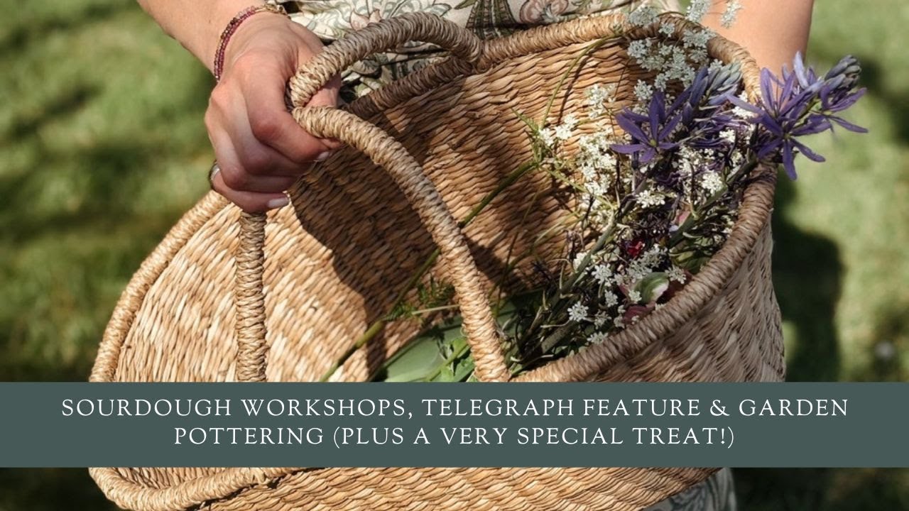 Sourdough Workshops, Telegraph Feature & Garden Pottering (plus a Very Special Treat!)