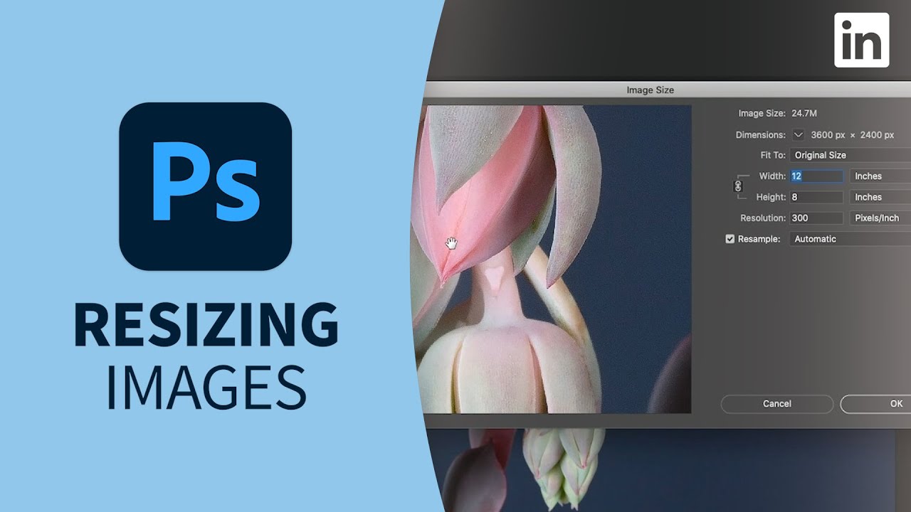 Photoshop Tutorial - IMAGE SIZING for output devices