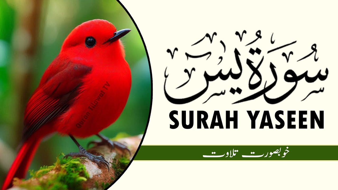 Surah Al Yasin full (سورة يس) Recitation that soothes the heart and mind | by Hussein Abdel Zaher