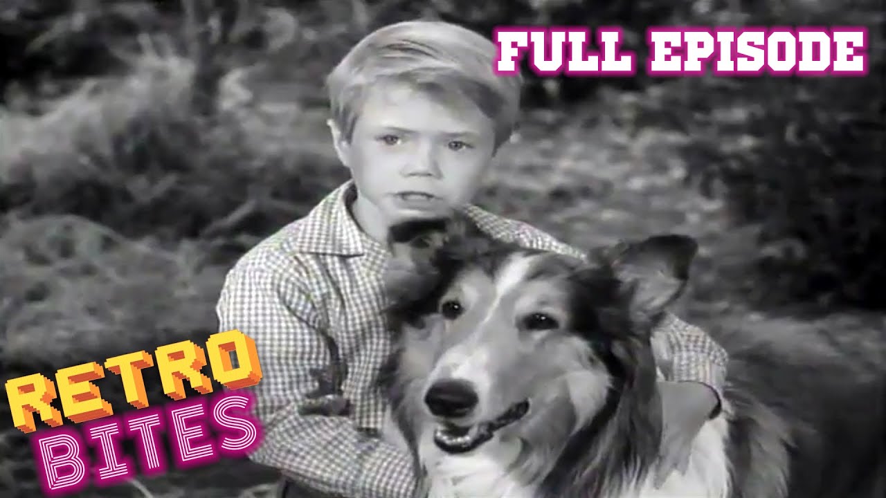 Lassie | Lassie's Decision | Full Episodes  🐕