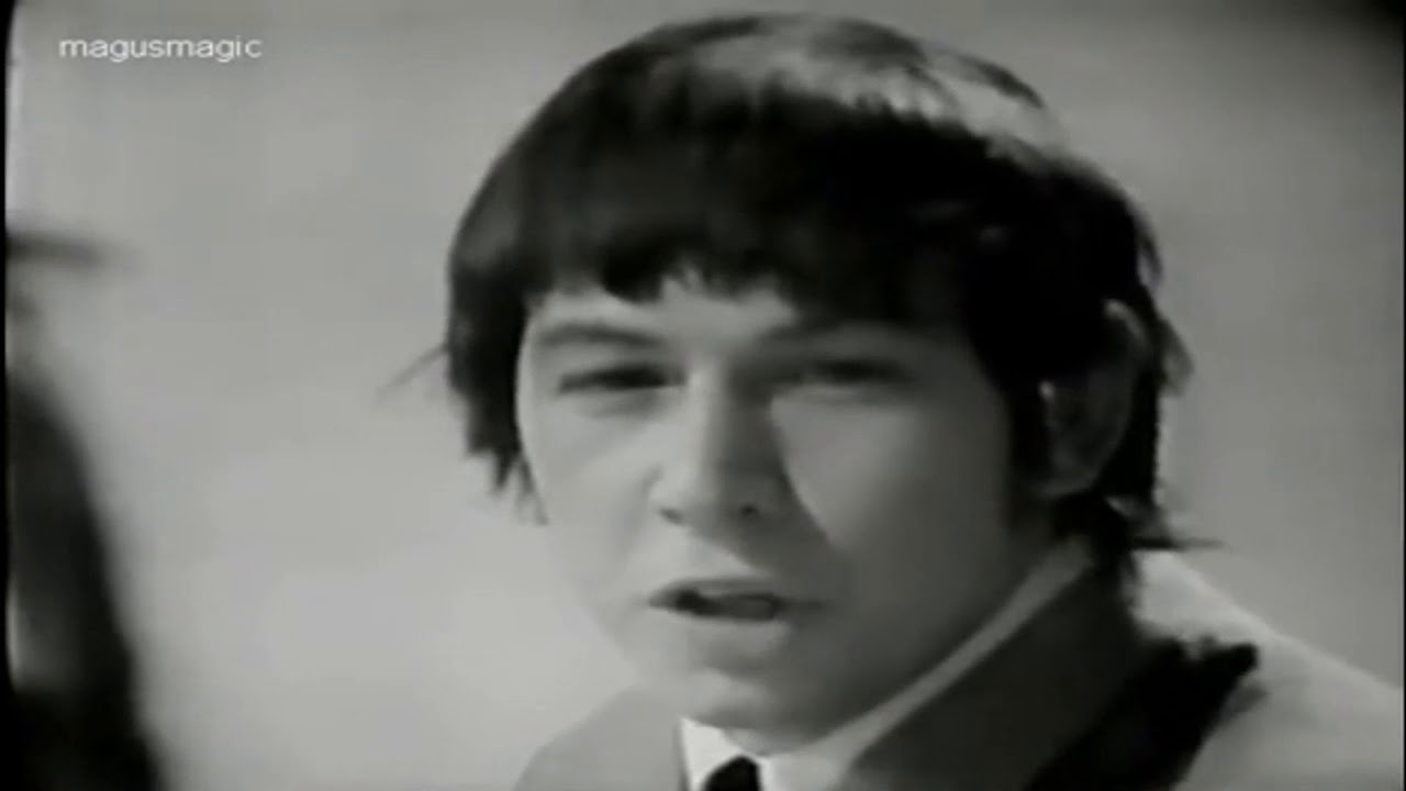 The Animals - It Aint Me, Babe