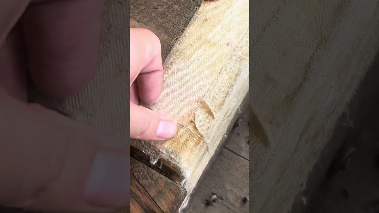 1800s Wooden Upright Double Bass Case For Sale on Ebay