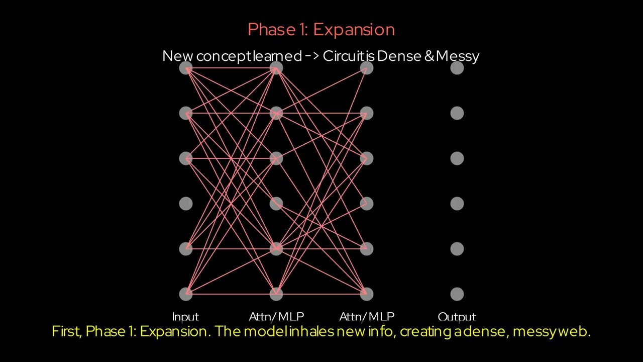 How large language models expand conceptual memory during pretraining?