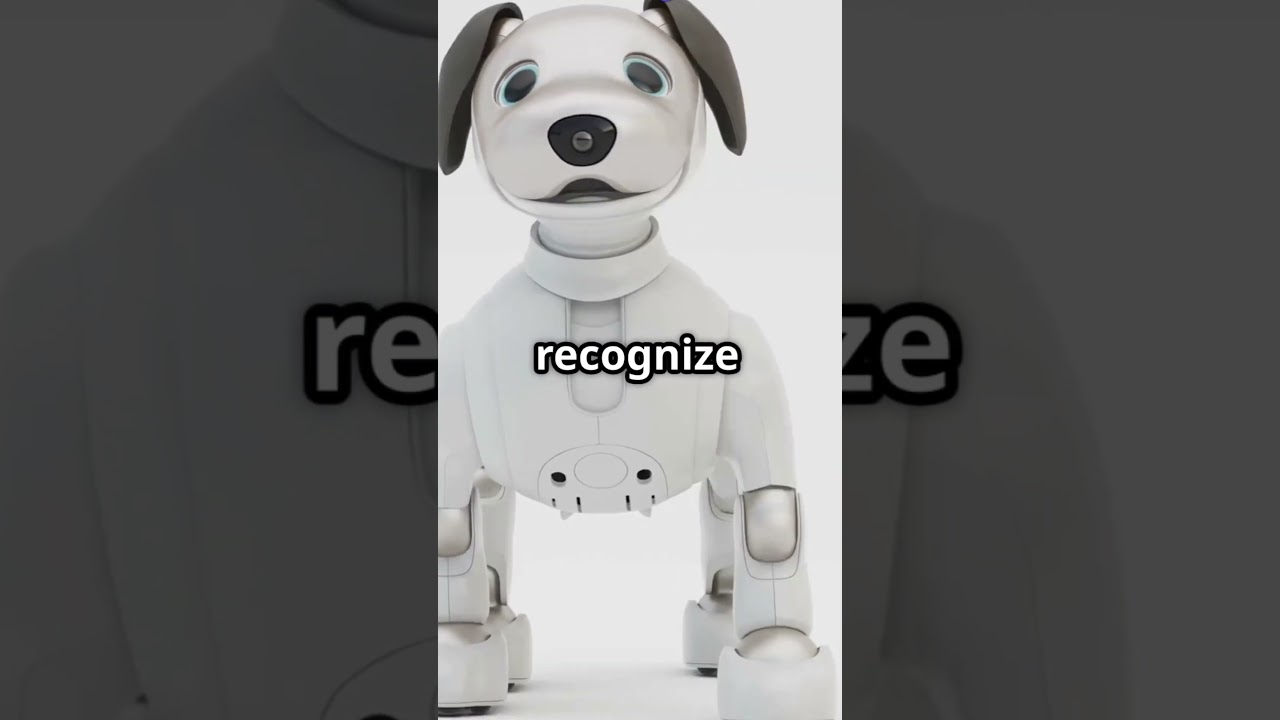 Top 5 AI Dogs in Future