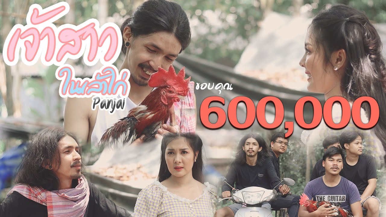 เจ้าสาวในเล้าไก่ -  Panjai (ปานใจ)【MV OFFICIAL】