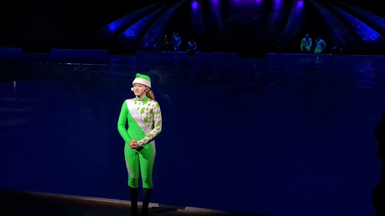 Georgia Aquarium - Dolphin Show