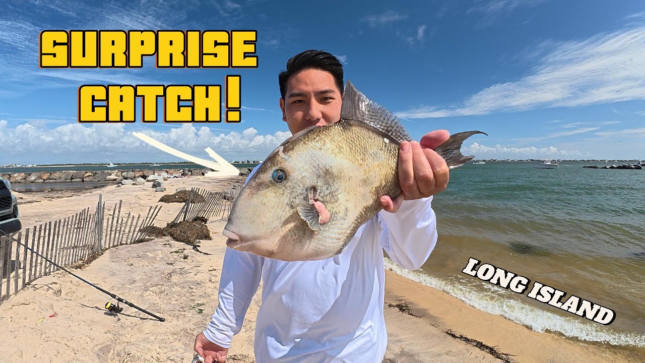SURPRISE CATCH FROM SHORE!