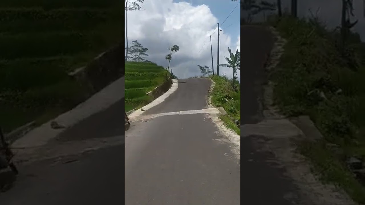 Jalan desa tundagan watukumpul kabupaten pemalang #shorts