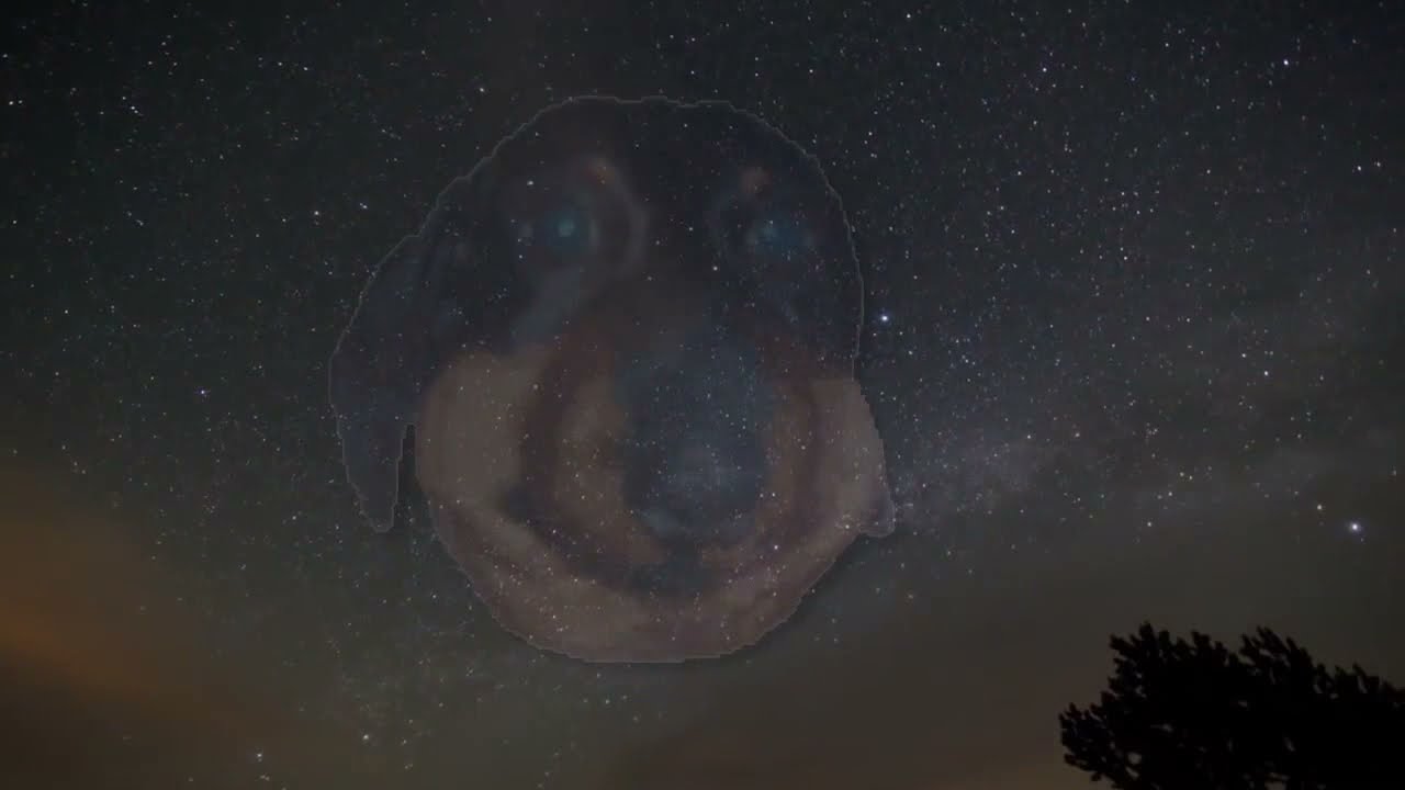 DAWG - Истории, Видосы, Мемы (27.06.2020)