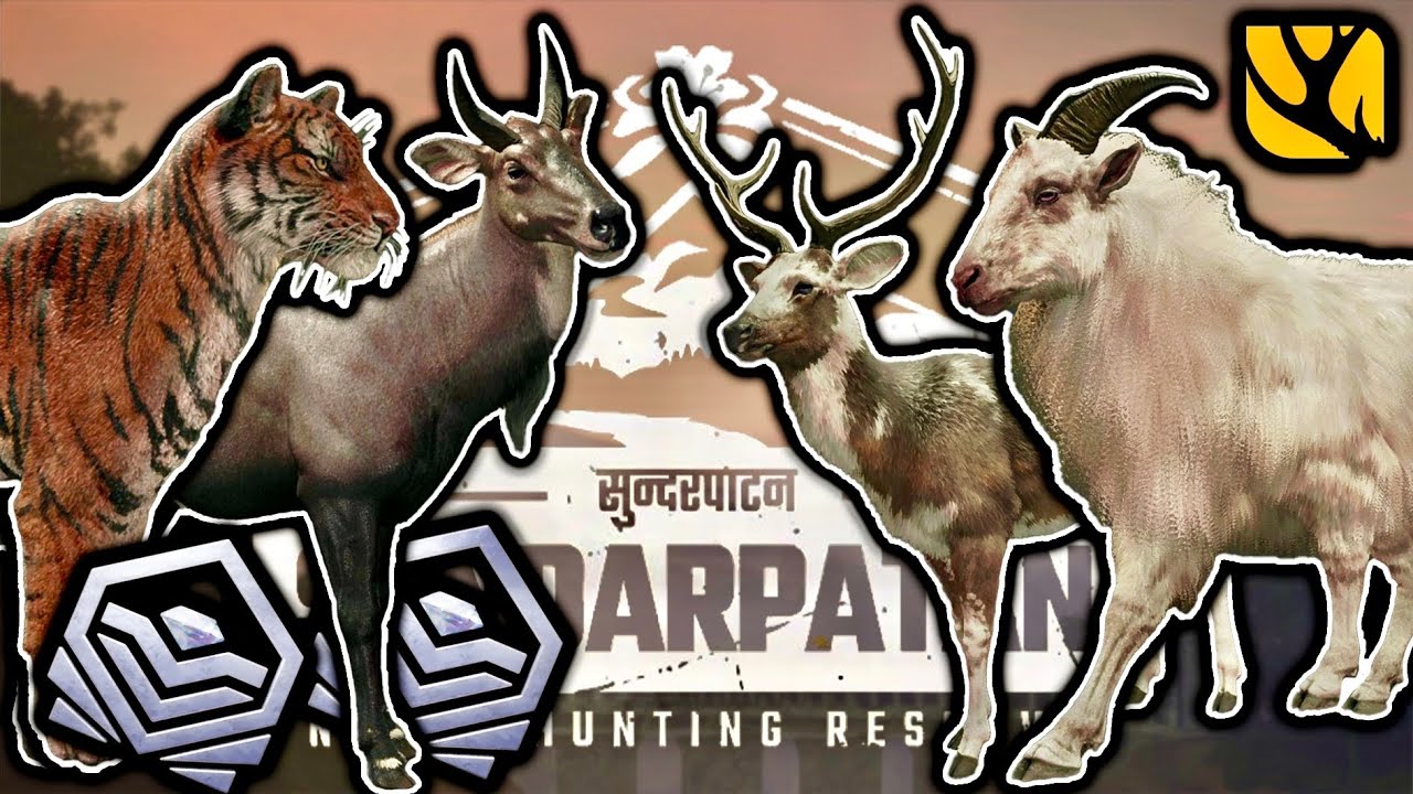 FINALLY! DIAMOND BENGAL TIGER & NILGAI, PLUS ALBINO TAHR & PIEBALD + DIAMOND BARASINGHA IN ONE HERD!
