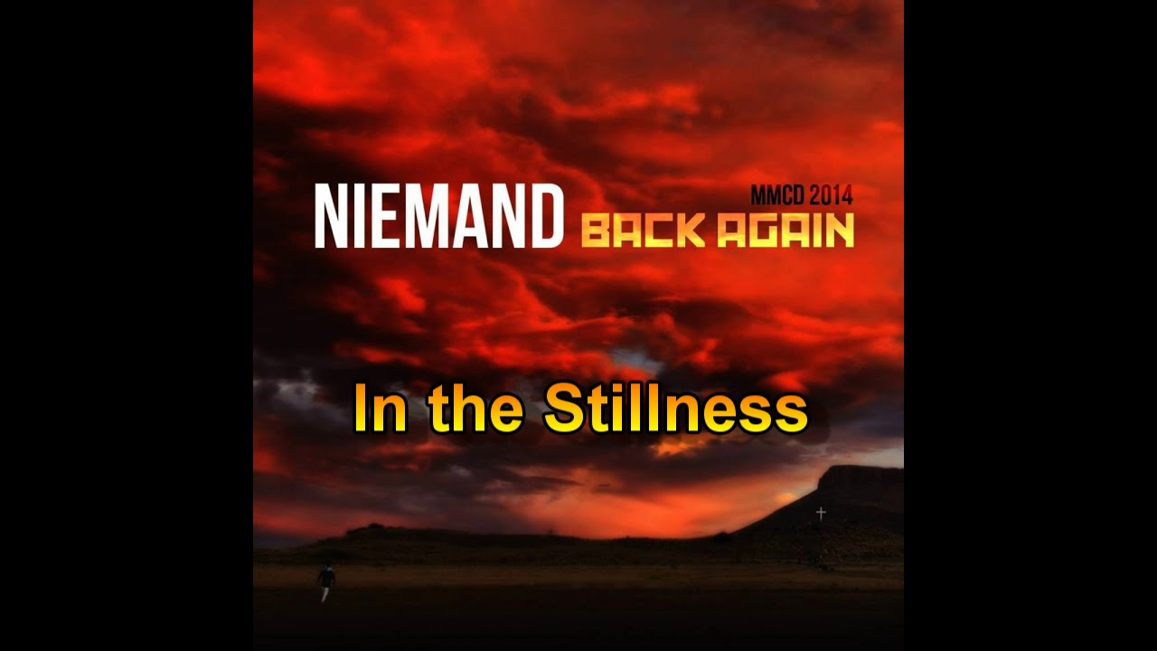 In the Stillness - Joe Niemand