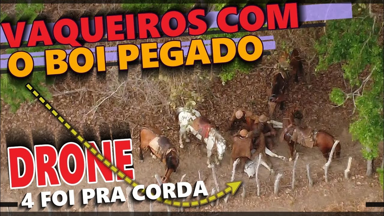 Vaqueiros pegaram 4 dos 6 BOIS das apostas com RAIMUNDO FILHO