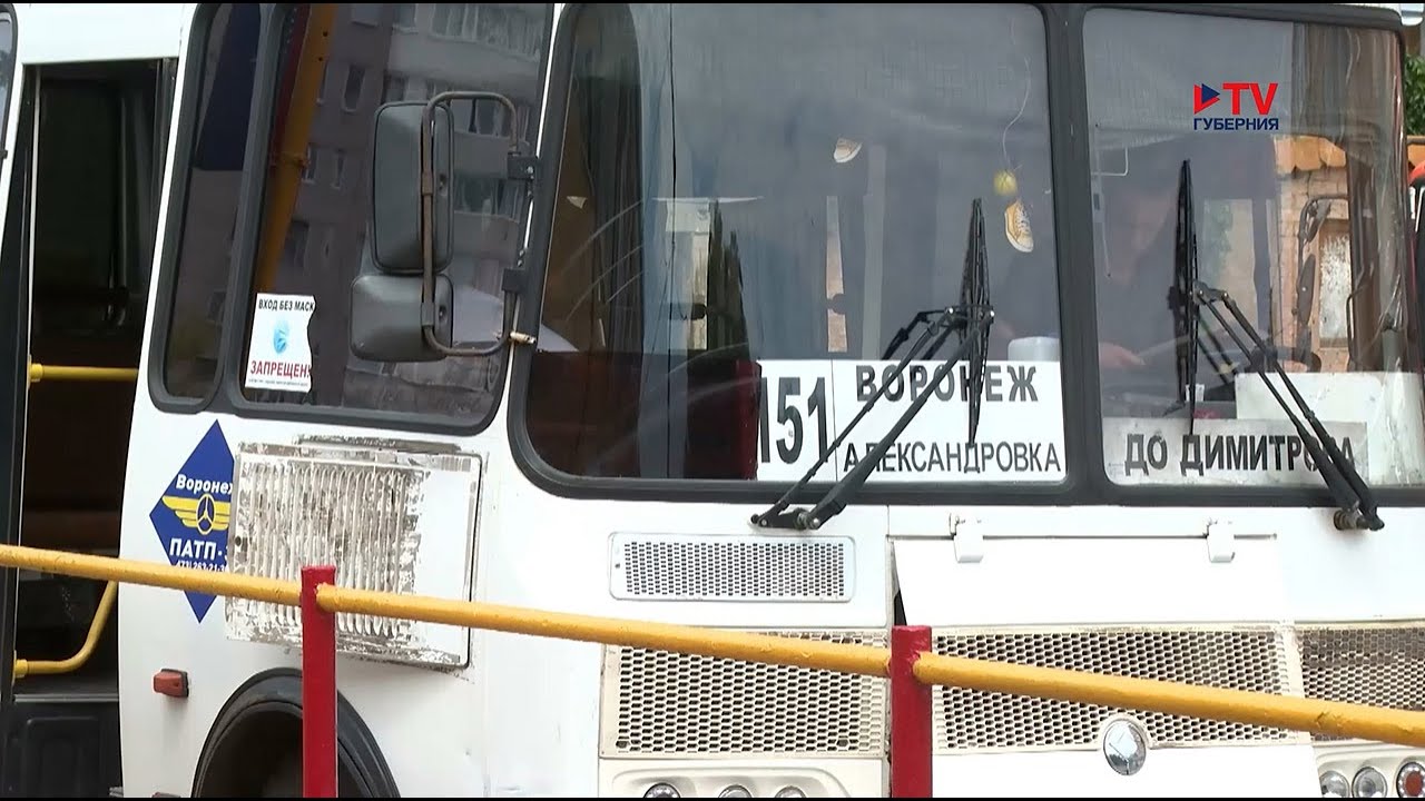 На дорогах Воронежа появились автобусы двух новых маршрутов