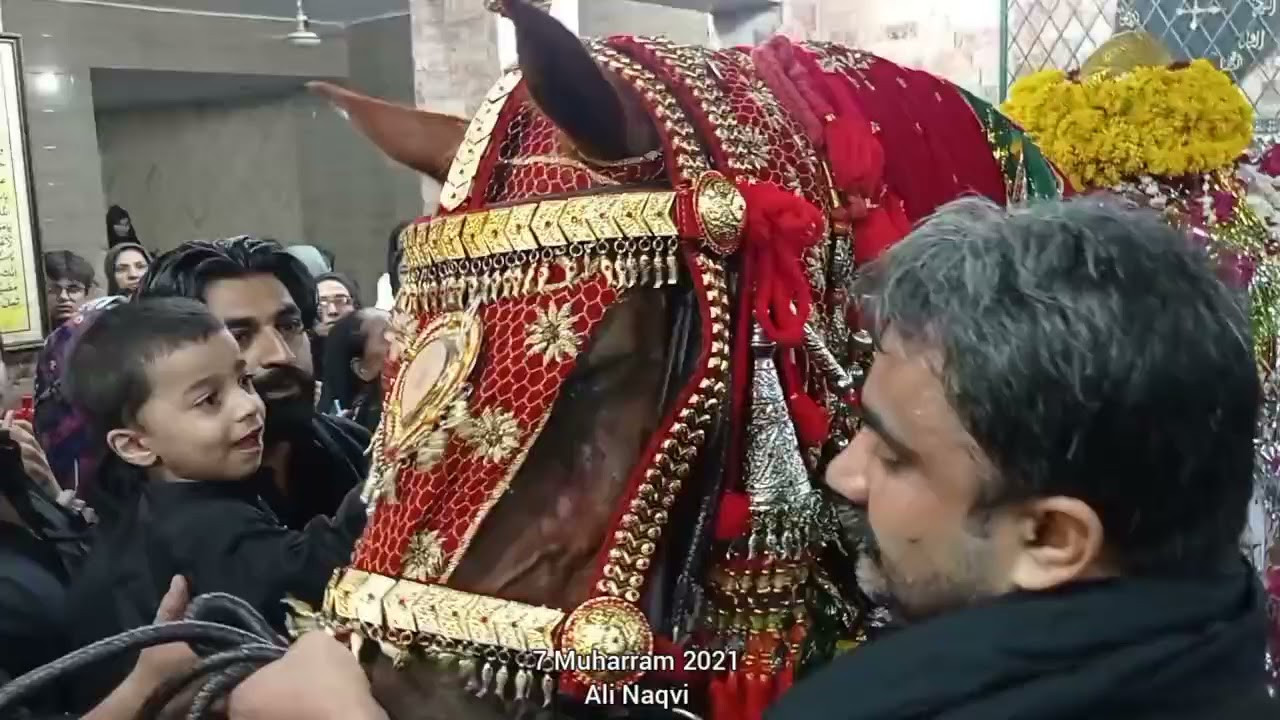 7 Muharram Zairat Zuljanah Katra Wali Shah Lahore 1443/2021