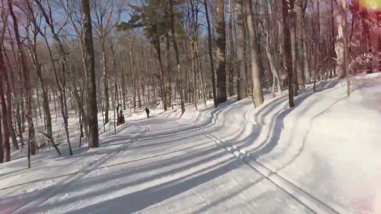 Gatineau Park, Ottawa , Ontario 