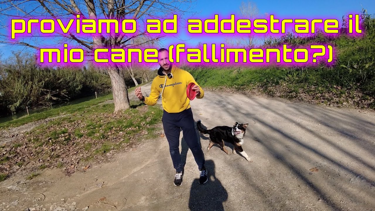 ADDESTRO IL MIO CANE UN PASTORE AUSTRALIANO (girato tutto con osmo pocker2)