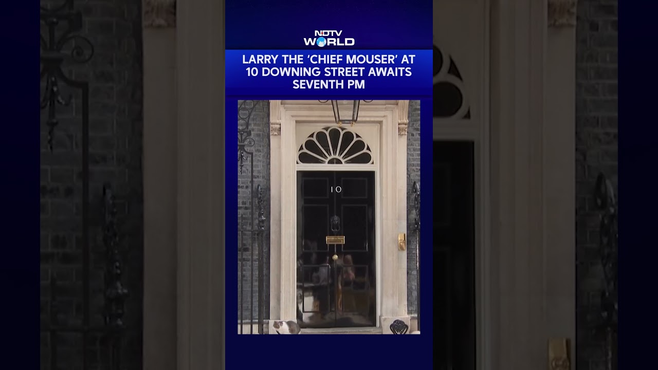 Meet Larry: 10 Downing Street's Famous Cat Awaits His Seventh UK Prime Minister