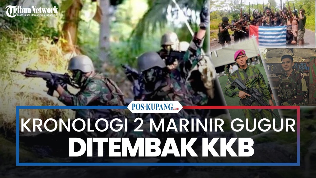 Kronologi 2 Prajurit Marinir Gugur Baku Tembak dengan KKB di Maybrat