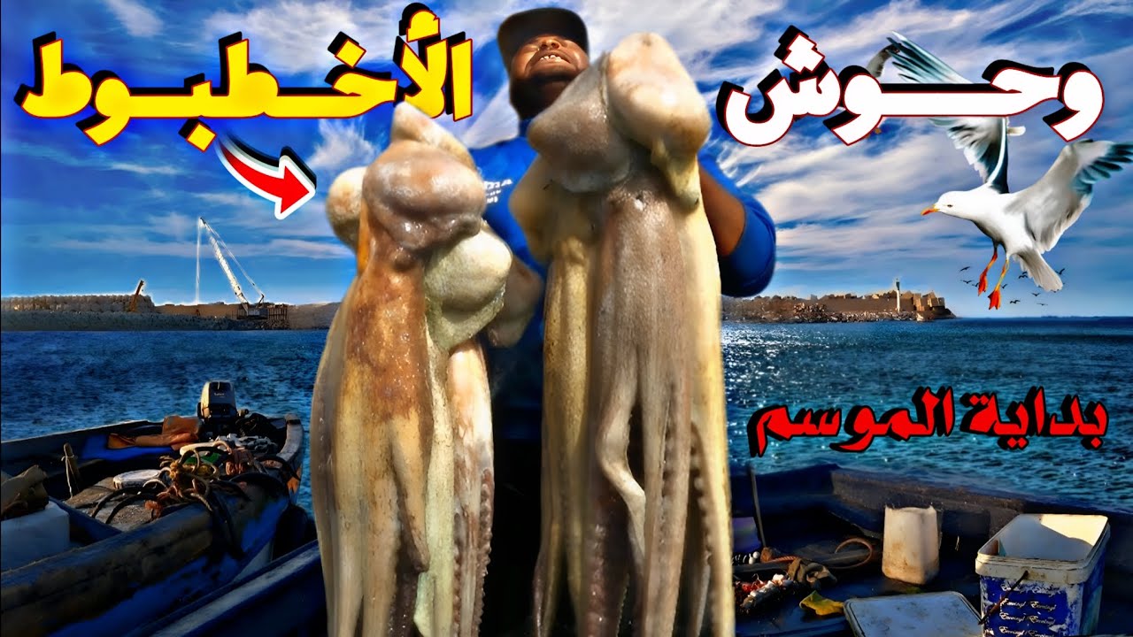 كفاح البحار:صيد وحوش الأخطبوط العملاقة🐙في أول يوم من موسم صيد بطريقة غريبة و فعالة💯لجدب الأخطبوط🐙😱