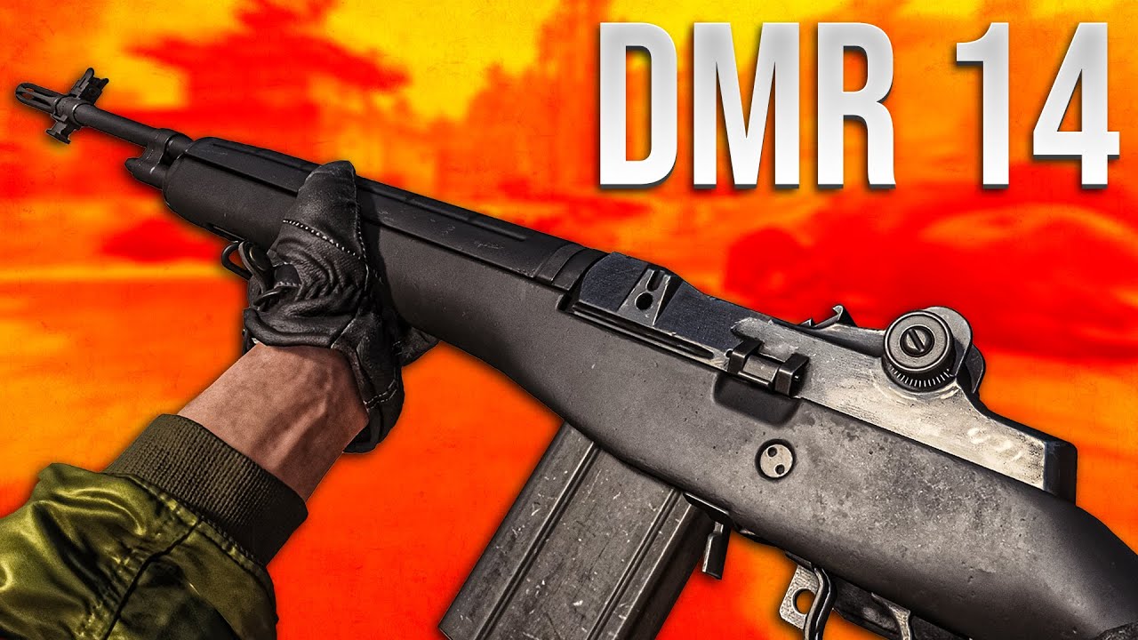 DMR 14 Tactical Rifle (Black Ops Cold War In Depth)