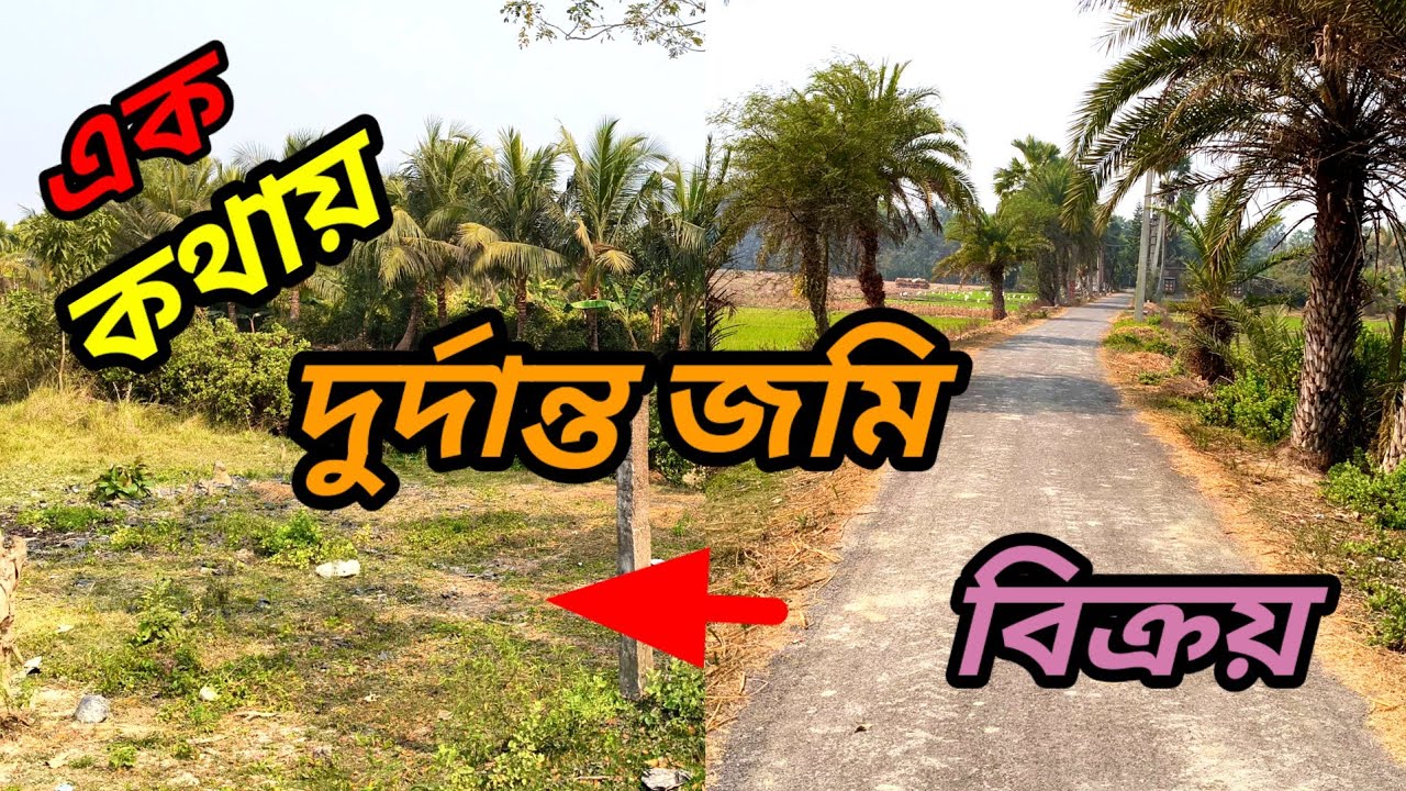সস্তায় 20 ft পিচ রাস্তার পাশে, বাগান বাড়ির উপযুক্ত জমি বিক্রয় , অসাধারণ জমি।