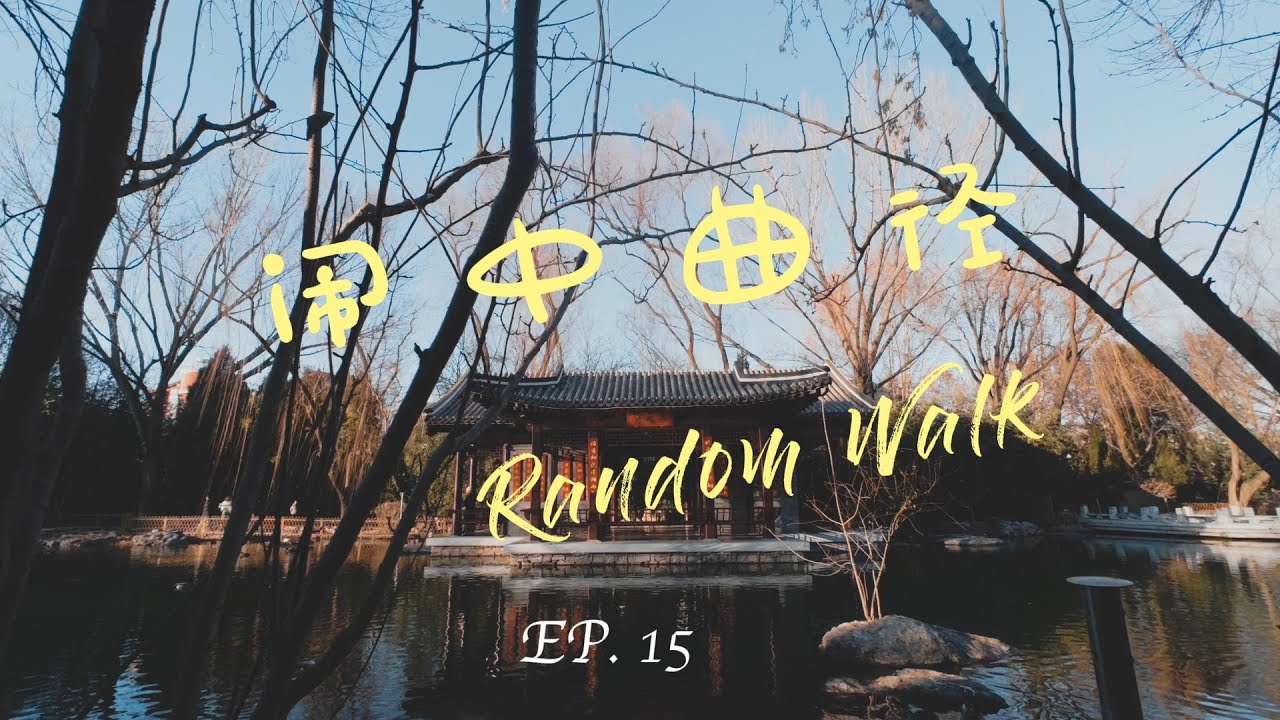 随机游走｜EP15  闹中曲径｜潭西胜境 | 北京的冬天｜观鸟圣地 | 二环 | 午后漫步 | 环境音