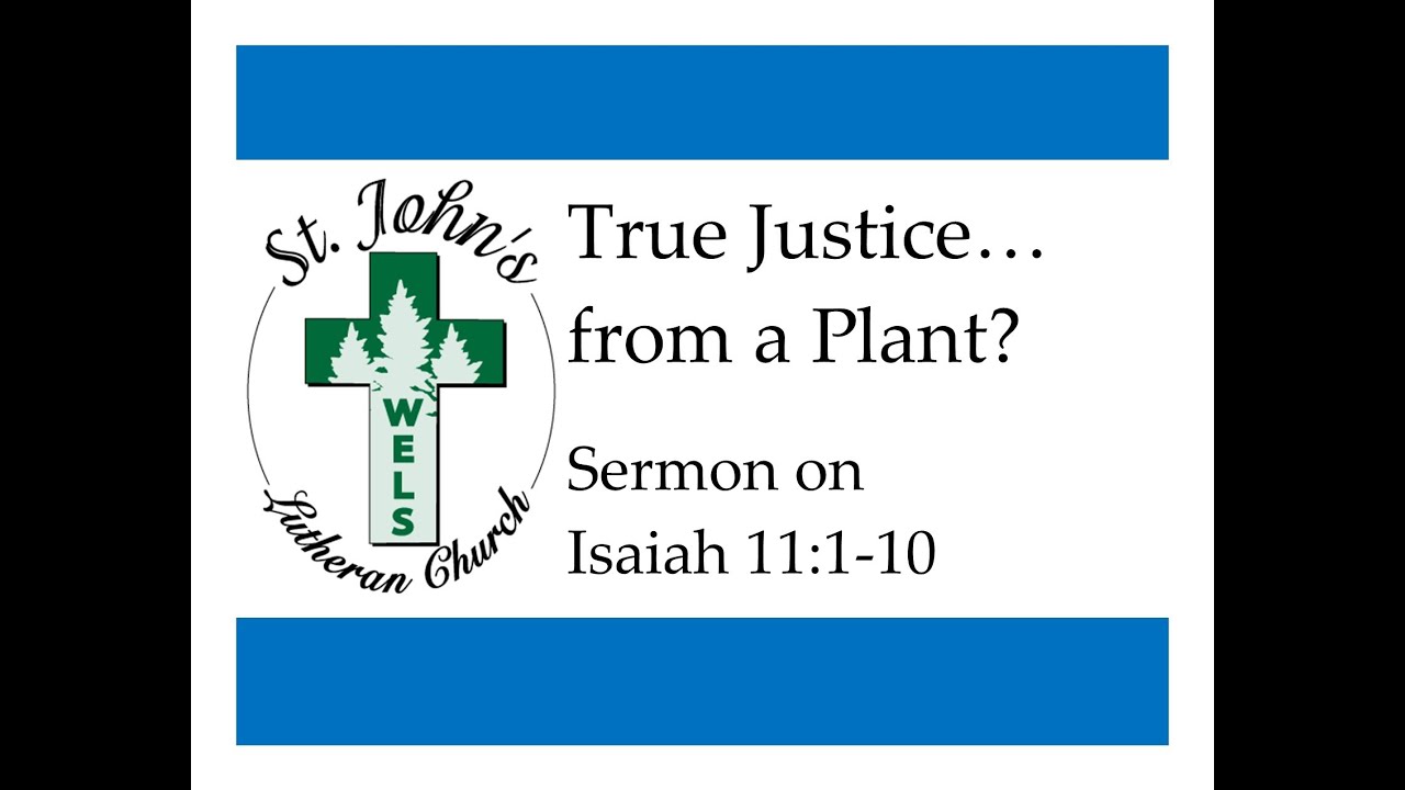 True Justice… from a Plant? (Sermon on Isaiah 11:1-10)
