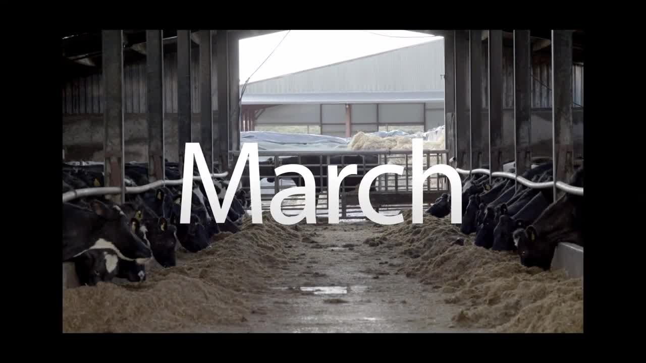 MSD March Animal Health Series : Episode 02