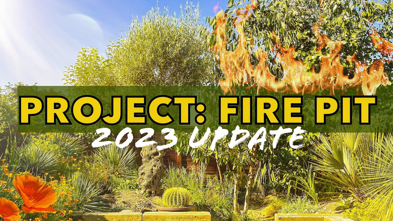 Sunken Fire Pit Update 2023 - Raised Beds, Rare Palms & Desert Planting!