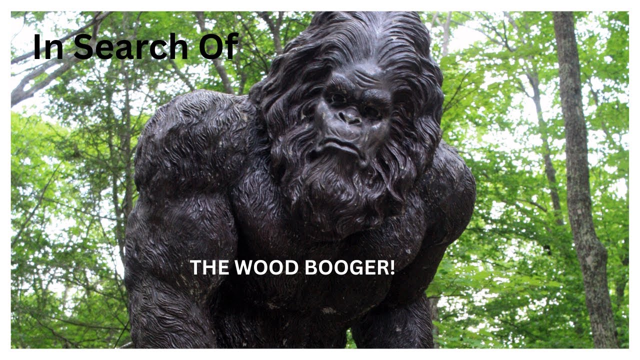 В поисках... ДЕРЕВЯННОЙ КОЛЫШКИ!