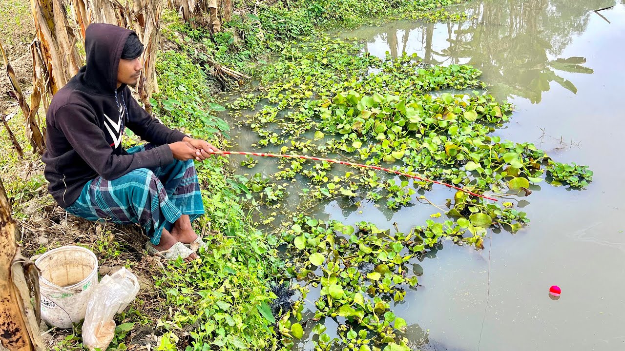 Video of a village boy fishing with a spear in his own pond hook video Fr village fishing 