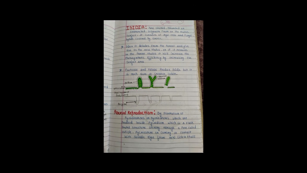 Lichens                     Topic 2- Reproduction In Lichens                   #botany  #Bsc #Exam