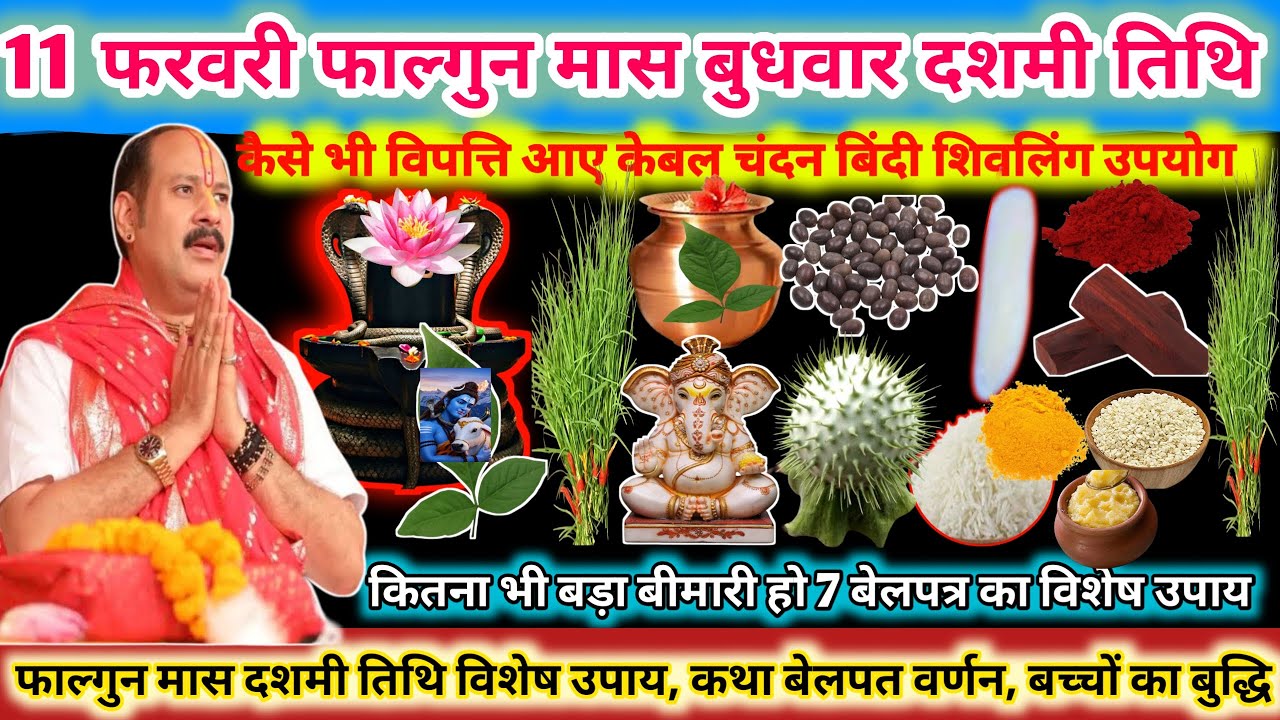 11 फरवरी बुधवार फाल्गुन मास दशमी तिथि के दिन 7 बेलपत्र का अद्भुत उपाय जरूर करें 😱🌿#upay#shiv 