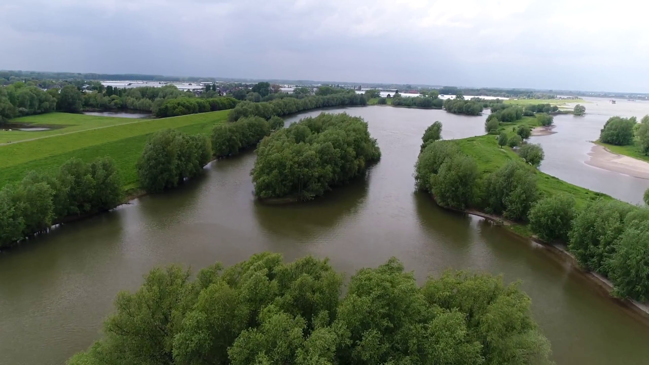 Uiterwaarden van de Waal bij Gameren