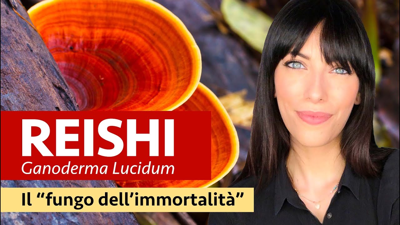 Le proprietà del fungo Reishi, o Ganoderma Lucidum 🍄 il 