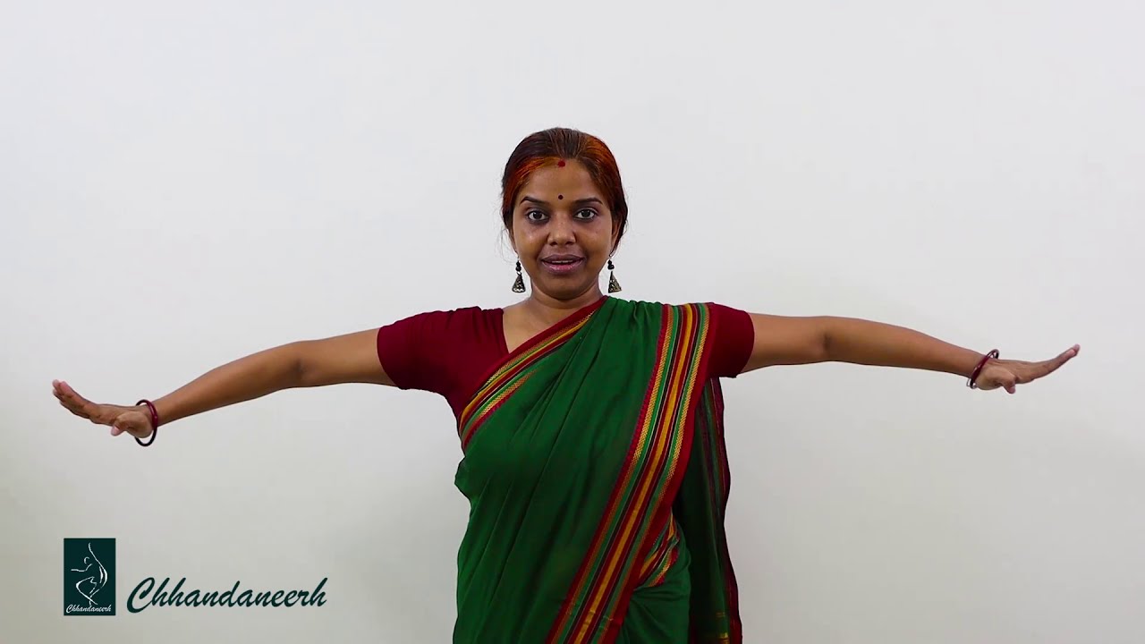 Pataka Hasta Viniyoga | Joyeeta Addya