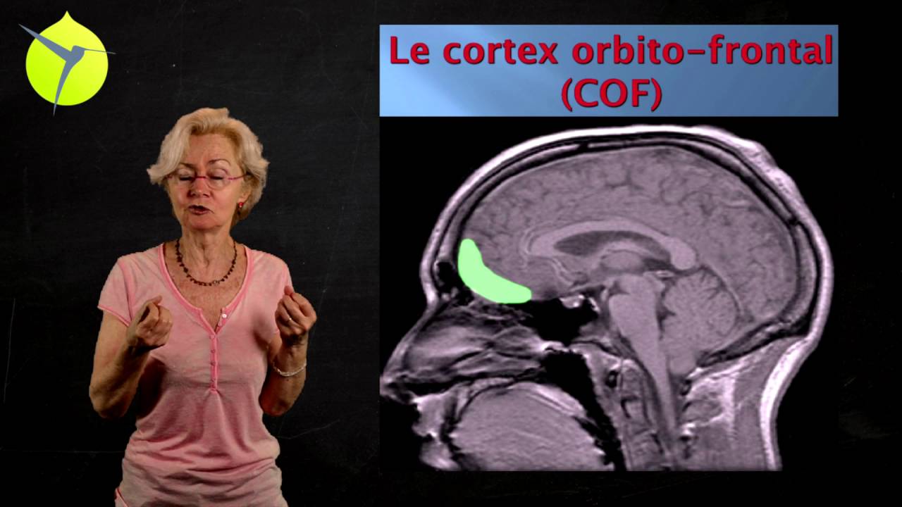 Catherine Gueguen Le besoin d’attachement