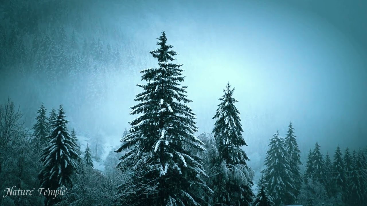 Relaxing Snow | Beautiful Relaxing Music for Stress Relief and Deep Sleep | 1 Hours
