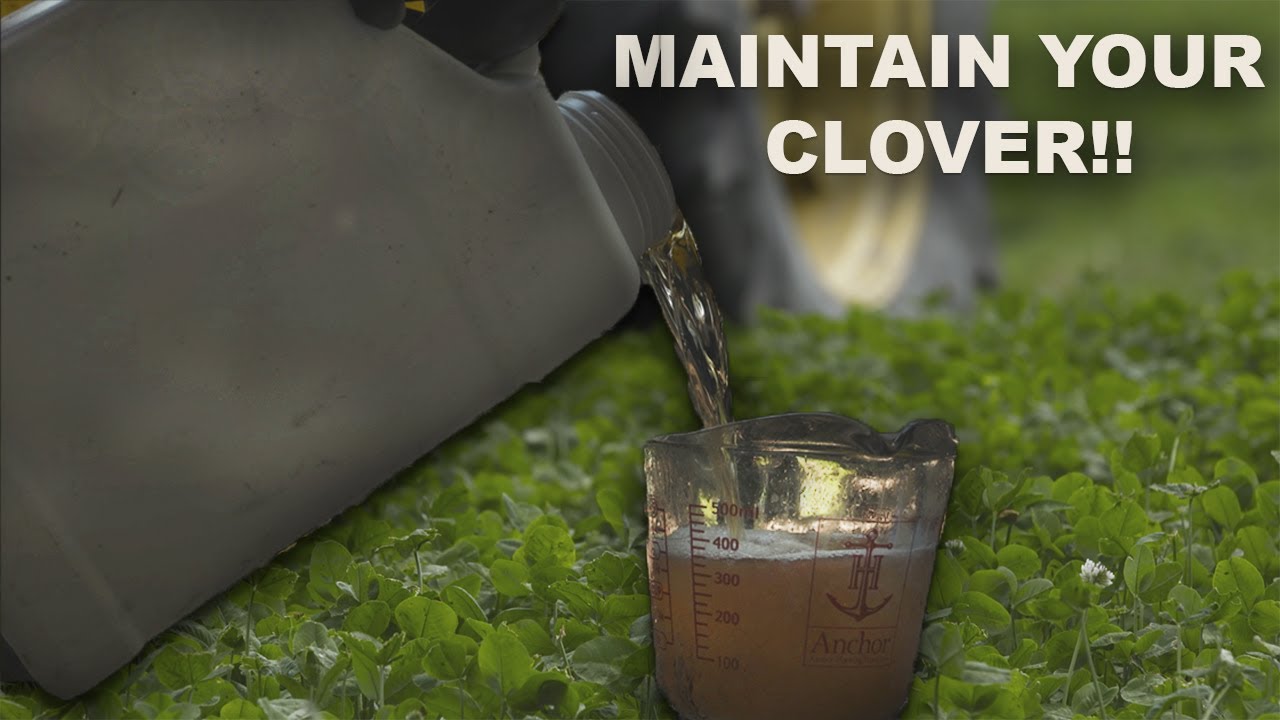 How to MAINTAIN your CLOVER FOOD PLOTS!!