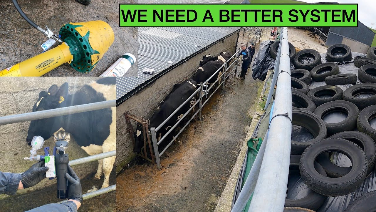 THIS CATTLE CRUSH IS A PAIN!!! WIDE ANGLE SHAFT OR HYDRAULIC DRIVE??? WE'VE CHOOSING